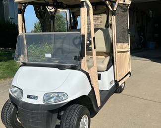 2017 RXV Freedom Elite Golf Cart with Doorworks Enclosure