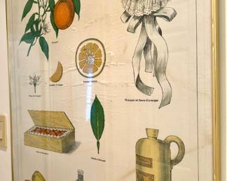 $60; framed print “L’Orange”; 26x33.   3 additional matching framed prints titled “Les Confitures” and “La Soupe” and “La Pain” ($40 as is, cracked glass)