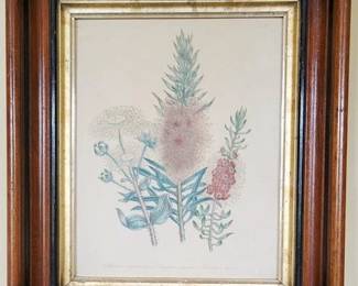 548 - Floral Print, Walnut Frame - 14 x 11.5
