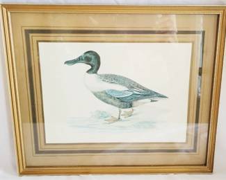 594 - Framed Duck Print - 13 x 15.5
