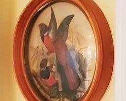 510 - 3 Bubble Glass Frames of Birds 7" round each
