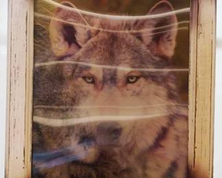 86 - Framed Holographic Wolf Print - 18" x 14"

