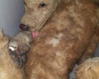 Faux Movie prop Golden Retriever. Articulating metal skeleton 