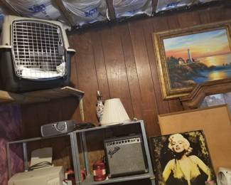 Medium size Animal Crate & other Small animal carriers