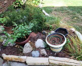 Outdoor rocks and plants