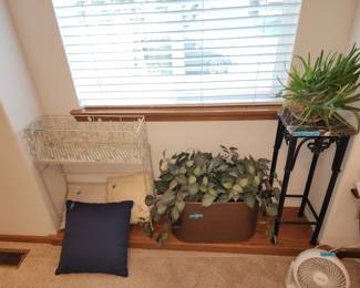 Plant stands and plants