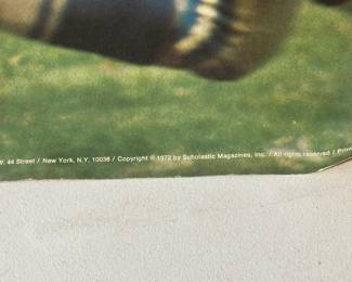 A VERY relevant 1972 Scholastic Poster of the Detroit Lions Action! Does have folds!