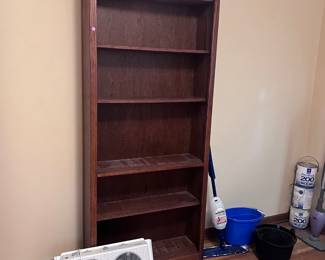 Bookshelf, fan, cleaning supplies