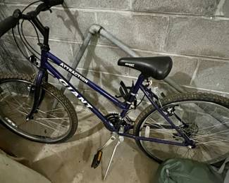 Women's Giant bike