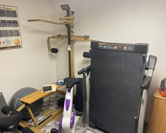 NordicFlex Gold Home Gym, Pro-Form 35CS Treadmill