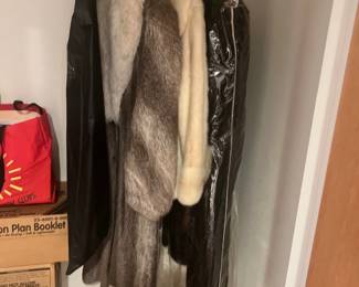 Fur Coats 