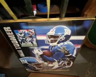 Amani Toomer Framed Print