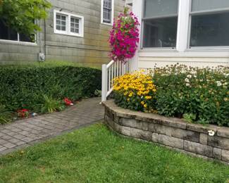 Hardscape; plants