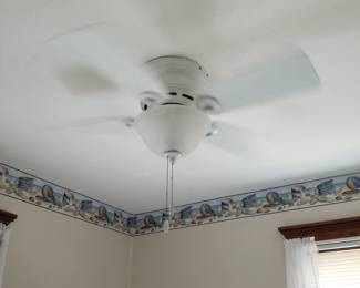 Illuminated ceiling fan