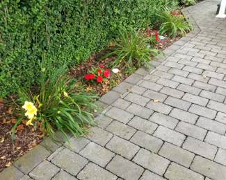 Border plantings; paver stones