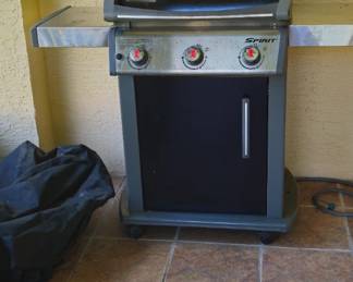 Gas grill