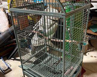 . . . large McCaw, Parrot, or other bird cage!