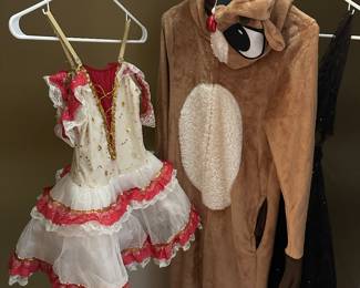 Dozens and dozens of holiday and dance costumes