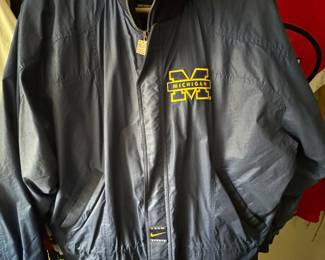 NIKE MICHIGAN WOLVERINES