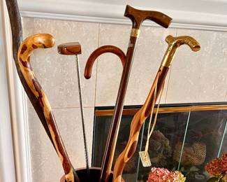 Walking sticks 