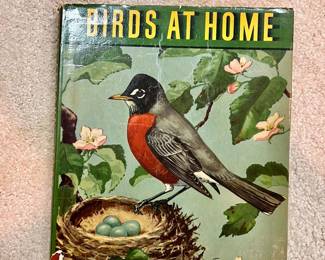 Birds At Home book