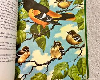 Birds At Home book