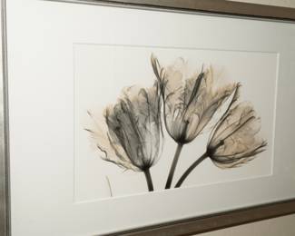 "Earthy Tulips" reverse negative photo-Albert Koetsier