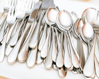 Oneida stainless flatware