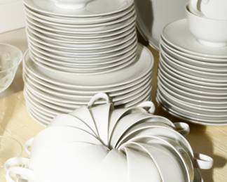 Rosenthal fine china-95+ pieces