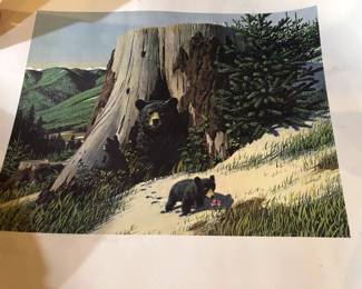 WILDLIFE PRINTS - UNFRAMED