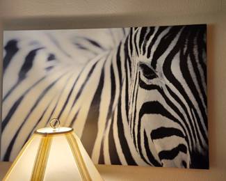 Zebra on Canvas 
