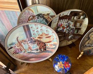Cat Plate collection