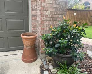 More pots with live plants 