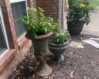 Beautiful pots with live plants 