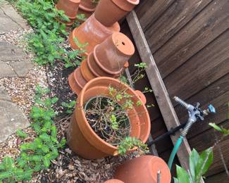 Lots of terra cotta pottery 