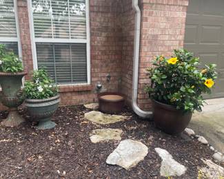 Love the green thumb! Plants and pits for sale 