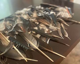 Really awesome single Feathers. Great for cowboy hats! 