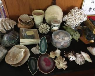 Dining Room- Rocks, Shells, Coral