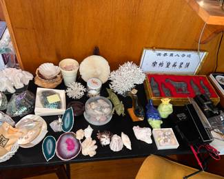 Living Room- Shells, Coral, Japanese Figure St