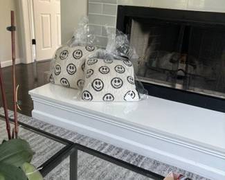 2 New Decorative Pillows Nicole Miller Designer