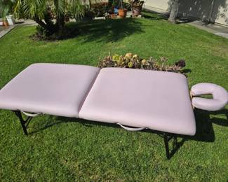 Earthlite Pegasus massage table. Adjustable, with head rest and knee roll. Available for pre-sale $80