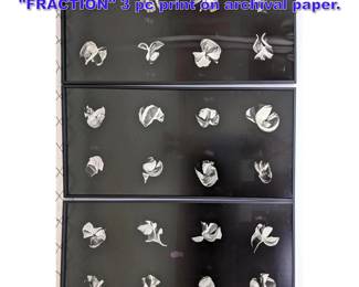 Lot 1121 Large ELIN HANSDOTTIR FRACTION 3 pc print on archival paper.