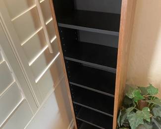 Media Storage Cabinet And Decor