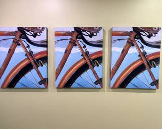 3 Bicycle Canvas Pictures
