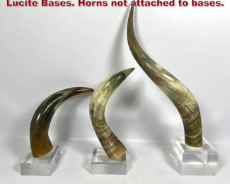 Lot 1401 3pc Natural Bull Steer Horns On Lucite Bases. Horns not attached to bases.