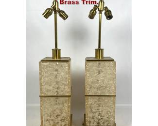 Lot 1282 Pair Resin faux crystal lamps. Brass Trim.