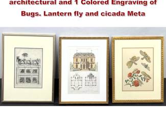 Lot 1650 3pcs Vintage etchings. 2 architectural and 1 Colored Engraving of Bugs. Lantern fly and cicada Meta