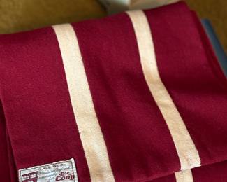 Harvard University scarf