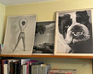 Large vintage photographs 