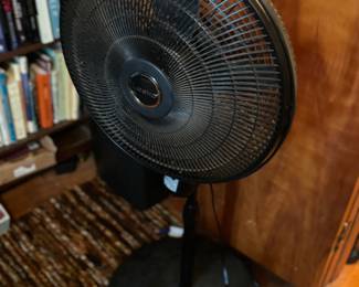 Fan